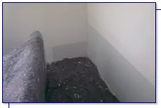 Entfernen Schimmelbefall